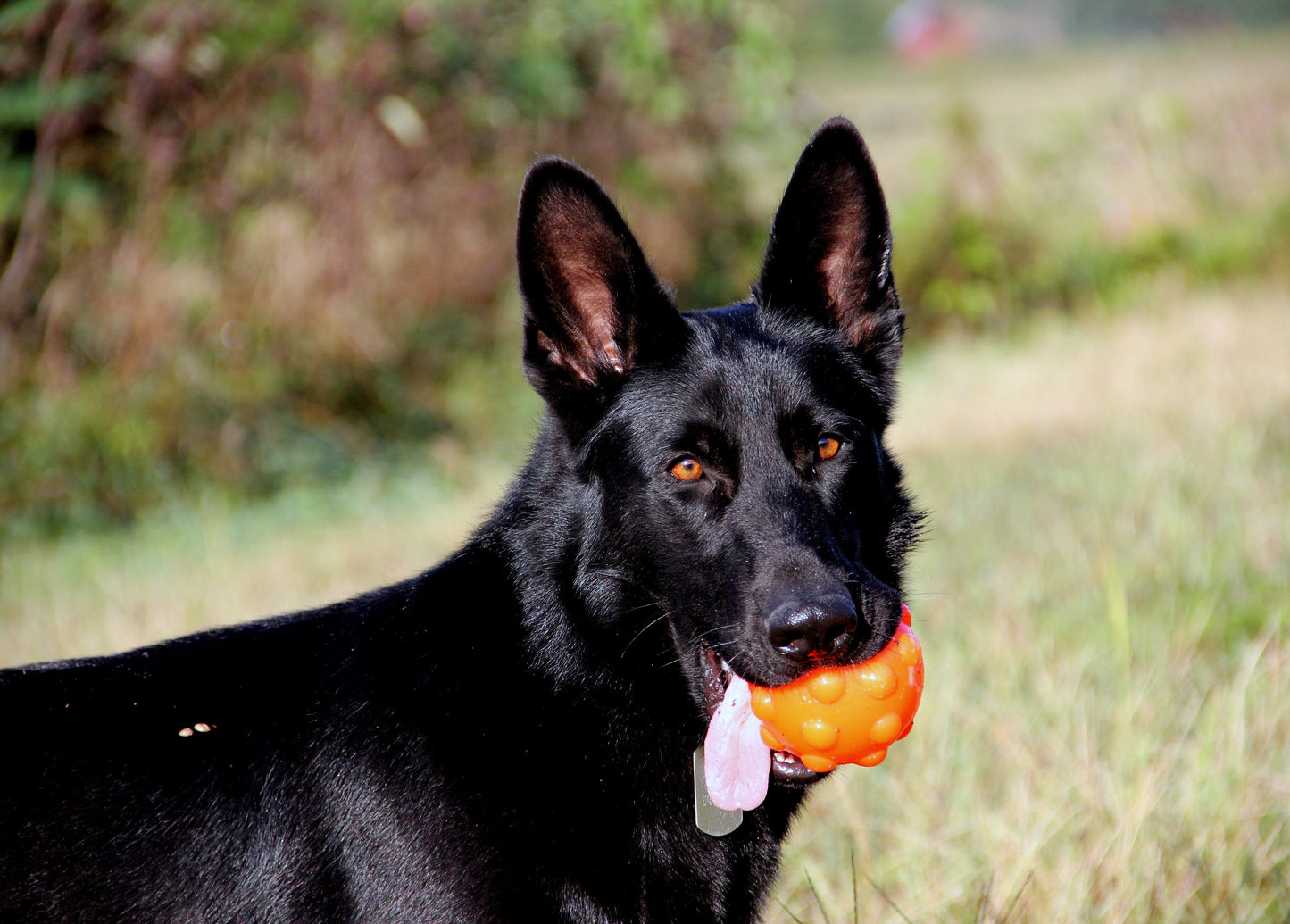 Jolly Jumper Orange S (7,6 cm)
