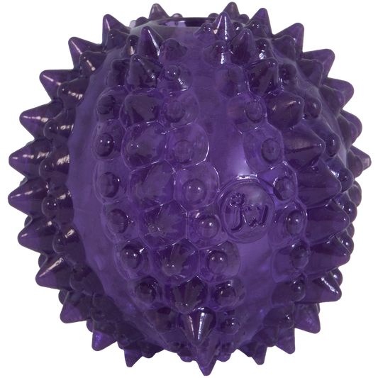 JW Puppy - Bristl-ee Cactus Ball