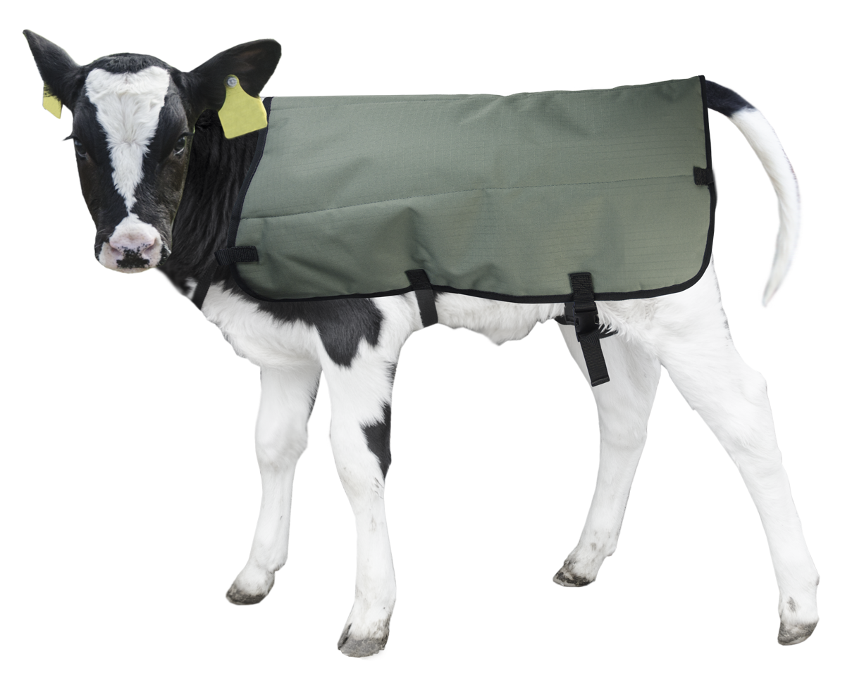 Calf Coat Kälberdecke 80 cm