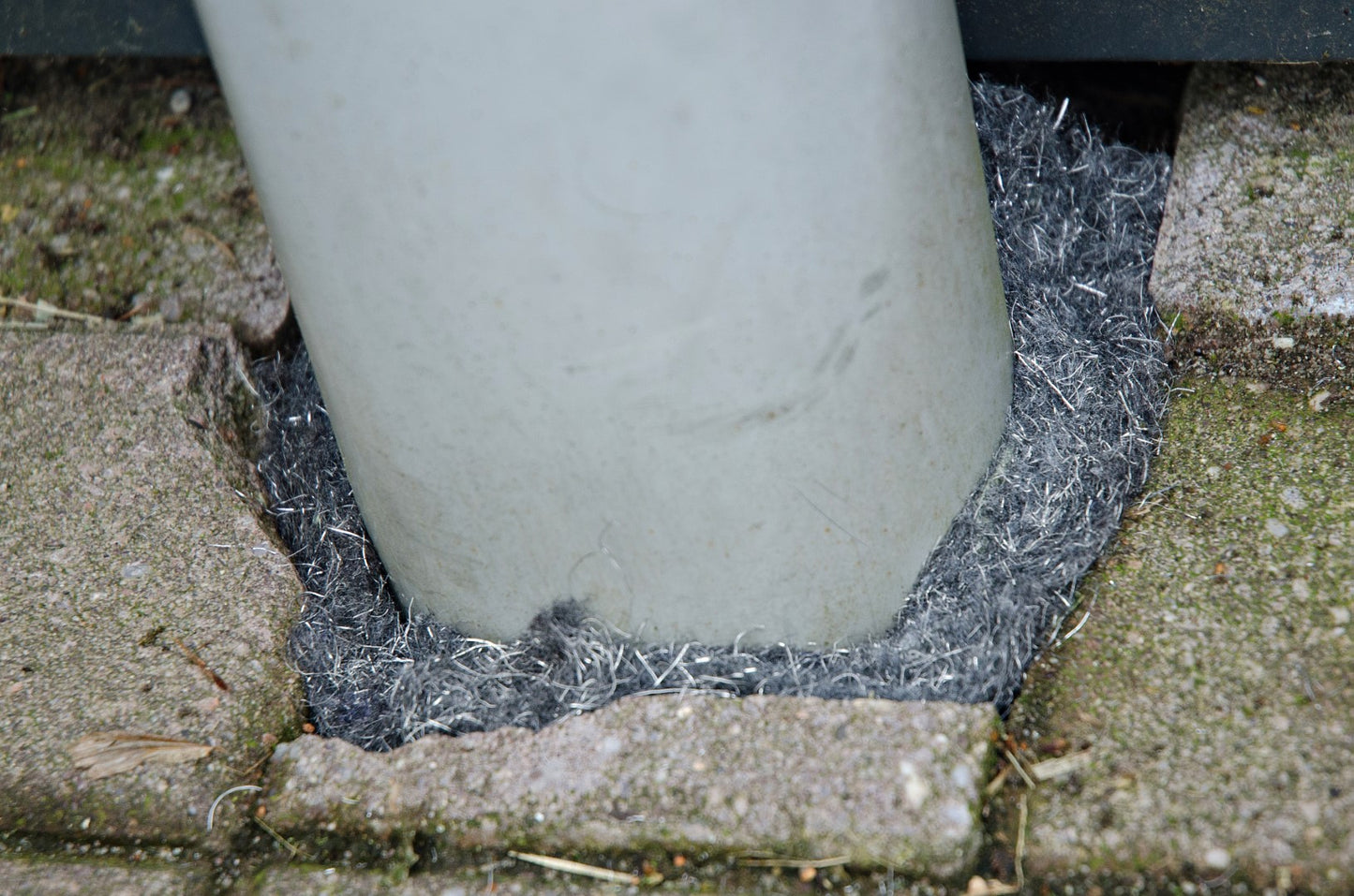 Knock Pest Abwehrband Ratte/Maus 5 M