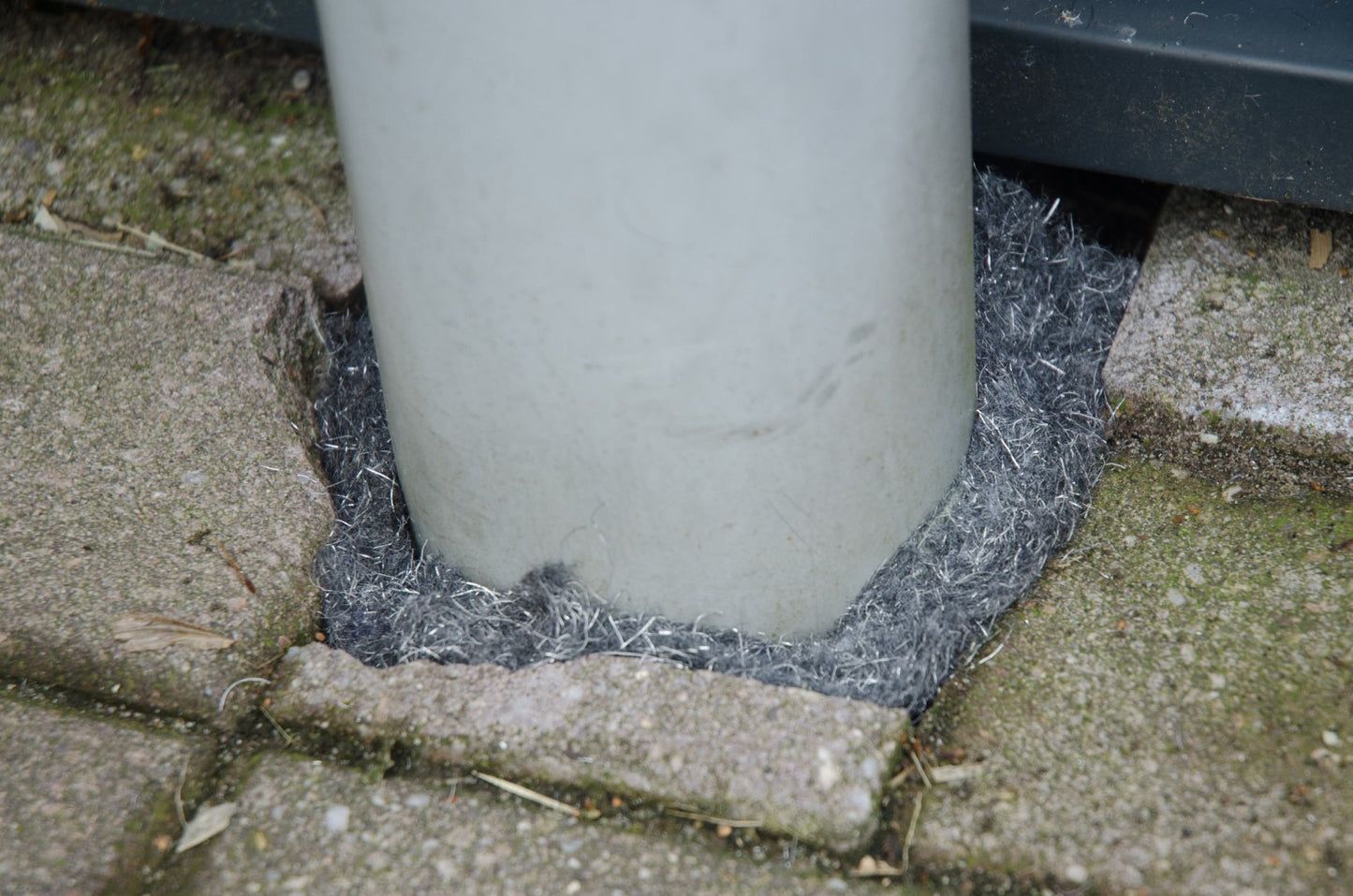 Knock Pest Abwehrband Ratte/Maus 5 M