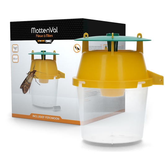 Knock Pest Mottenfalle