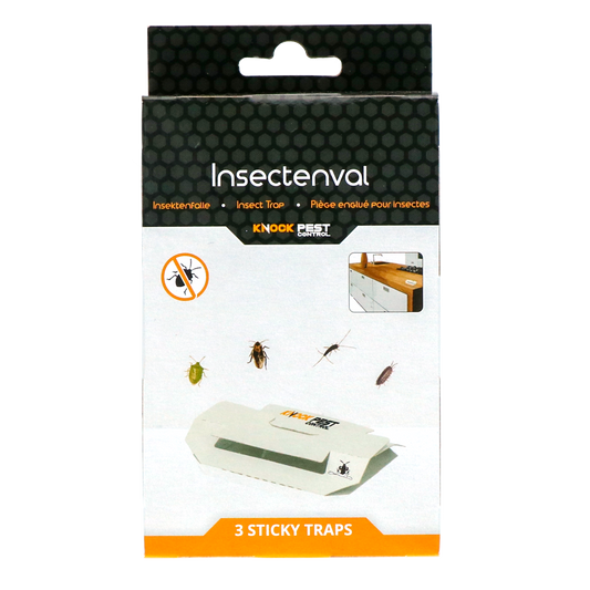 Knock Pest Insektenfalle Klein