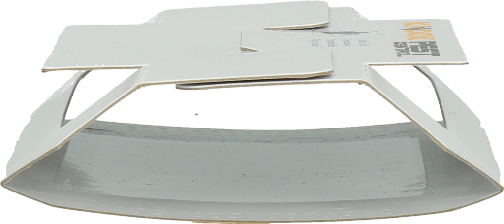 Knock Pest Insektenfalle Klein