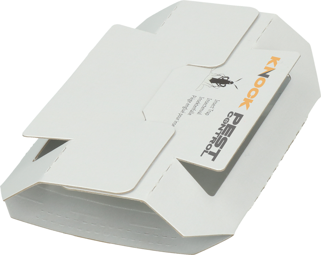 Knock Pest Insektenfalle Klein