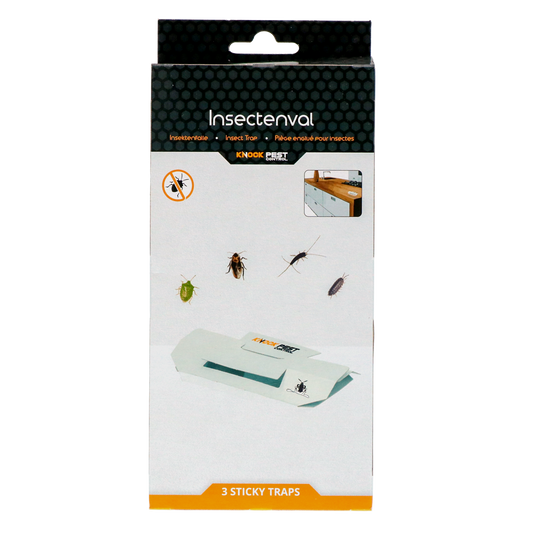 Knock Pest Insektenfalle Groß