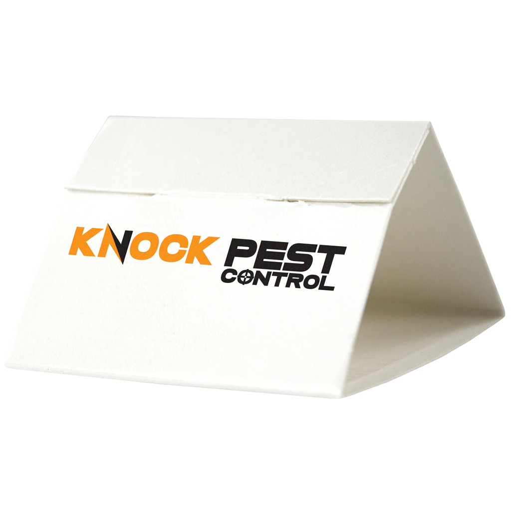 Knock Pest Silberfischchenfalle Delta