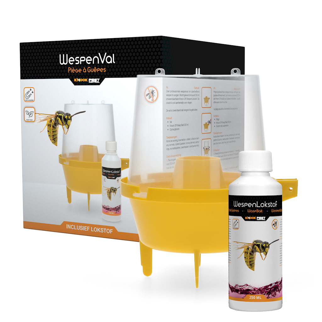 Knock Pest Wespenfalle