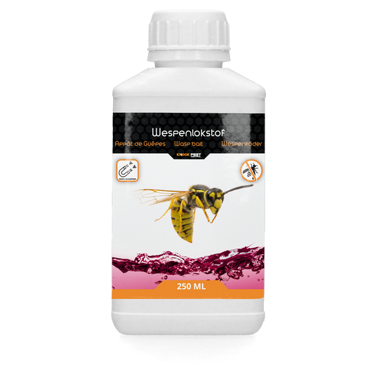 Knock Pest Wasp Bait (Wespenköder) 250 ml