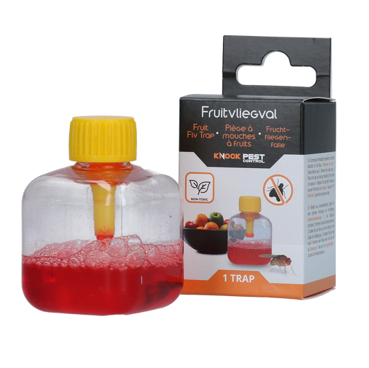 Knock Pest Fruchtfliegenfalle 1 Falle