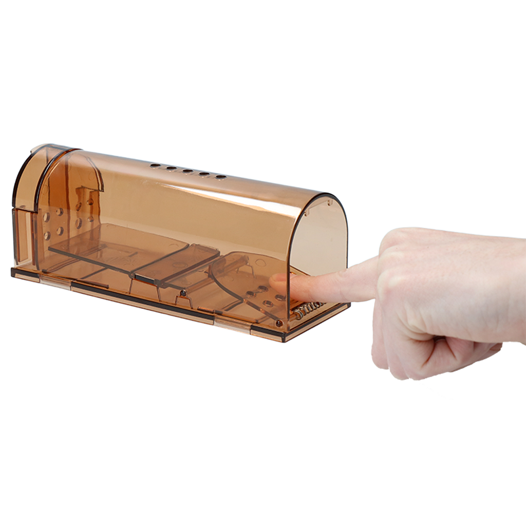 Knock Pest Mausefalle Lebend