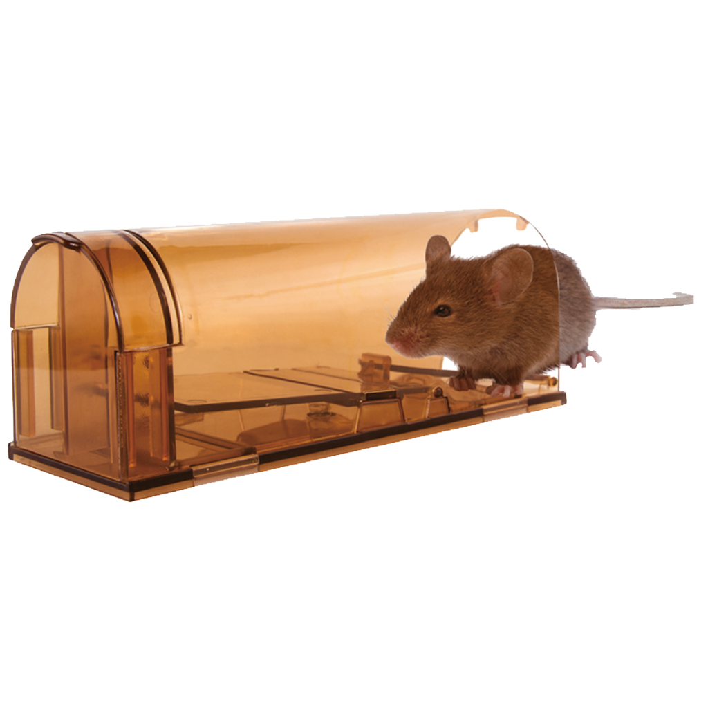 Knock Pest Mausefalle Lebend