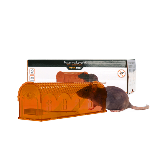 Knock Pest Rattenfalle Lebend