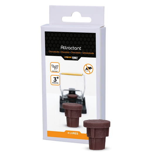 Knock Pest Attractant Schokolade