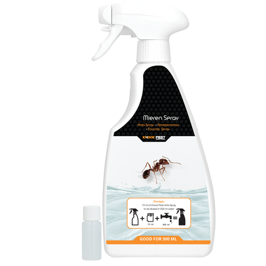 Knock Pest Ameisen Spray