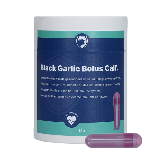 Excellent Black Garlic Bolus Kalb