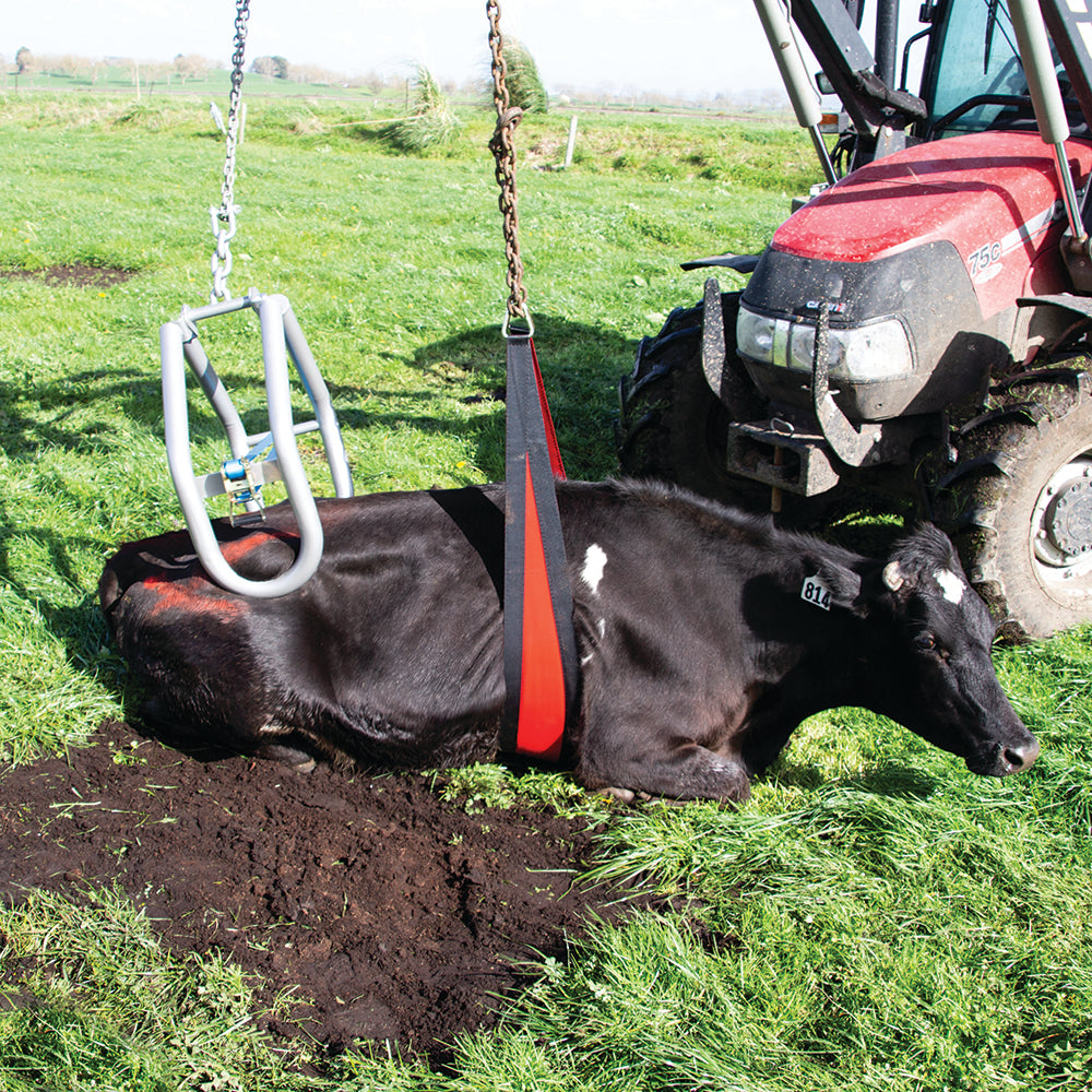 Kuhhebe Bauchgurt Vorderseite 2,4 meter