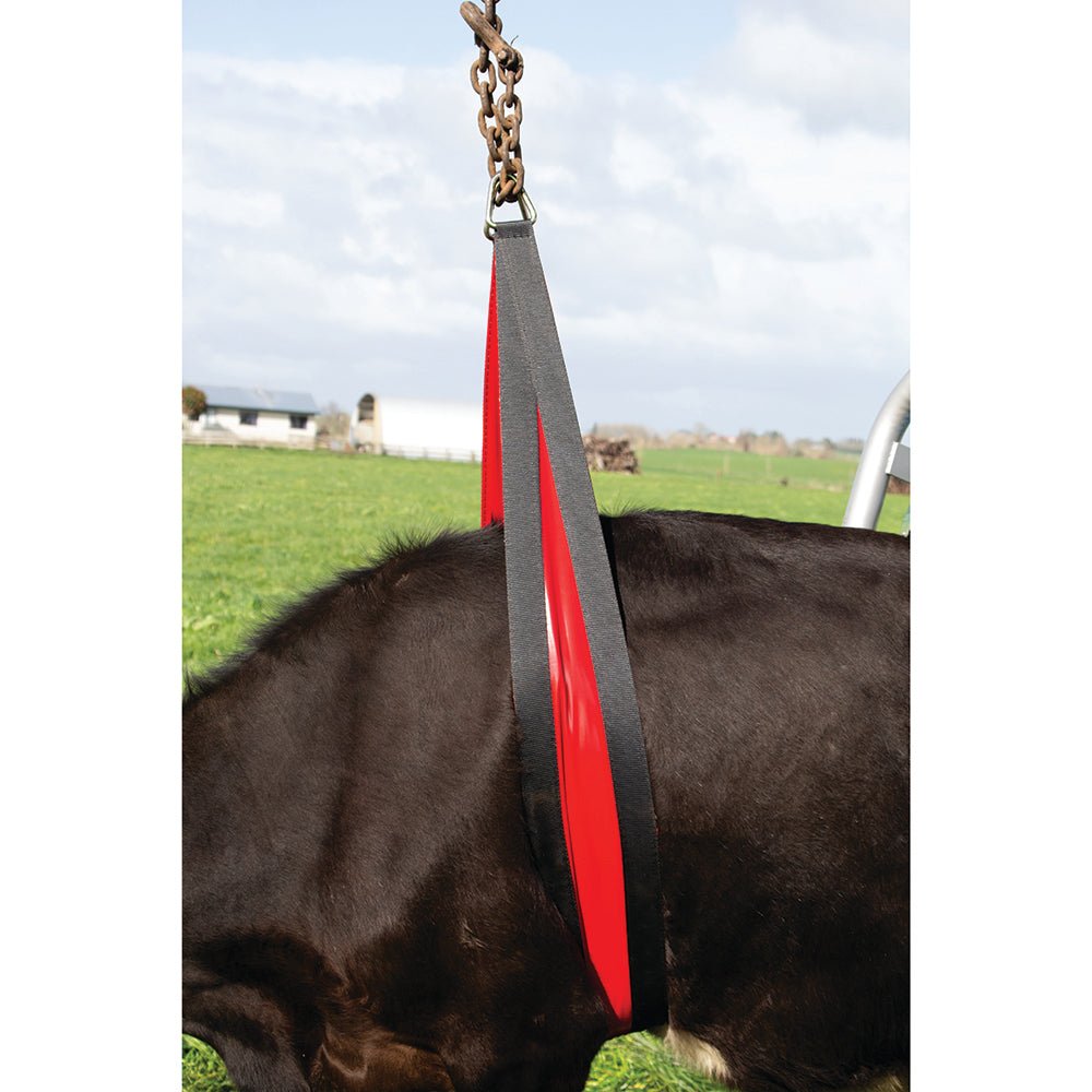 Kuhhebe Bauchgurt Vorderseite 2,4 meter