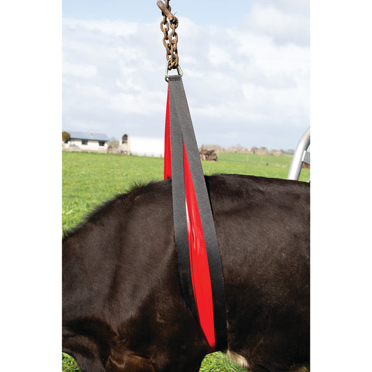 Kuhhebe Bauchgurt Vorderseite 2,4 meter