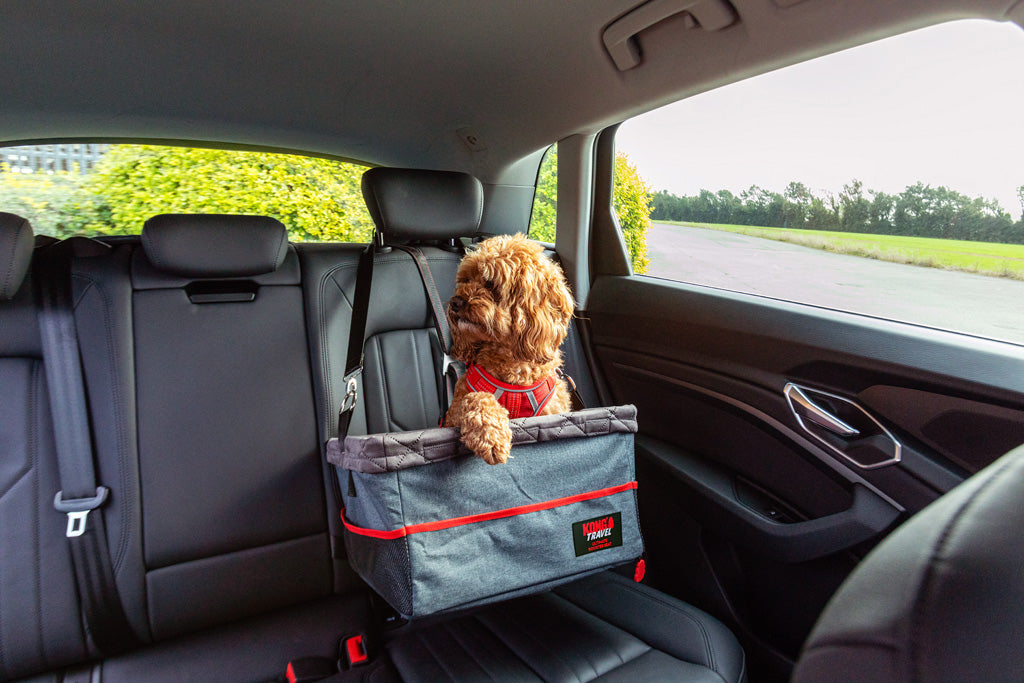 KONG Travel Ultimate Booster Seat & Tether