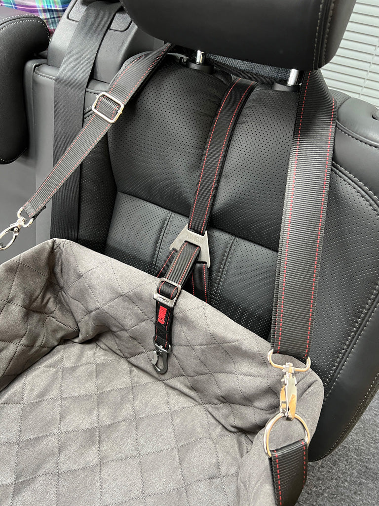 KONG Travel Ultimate Booster Seat & Tether