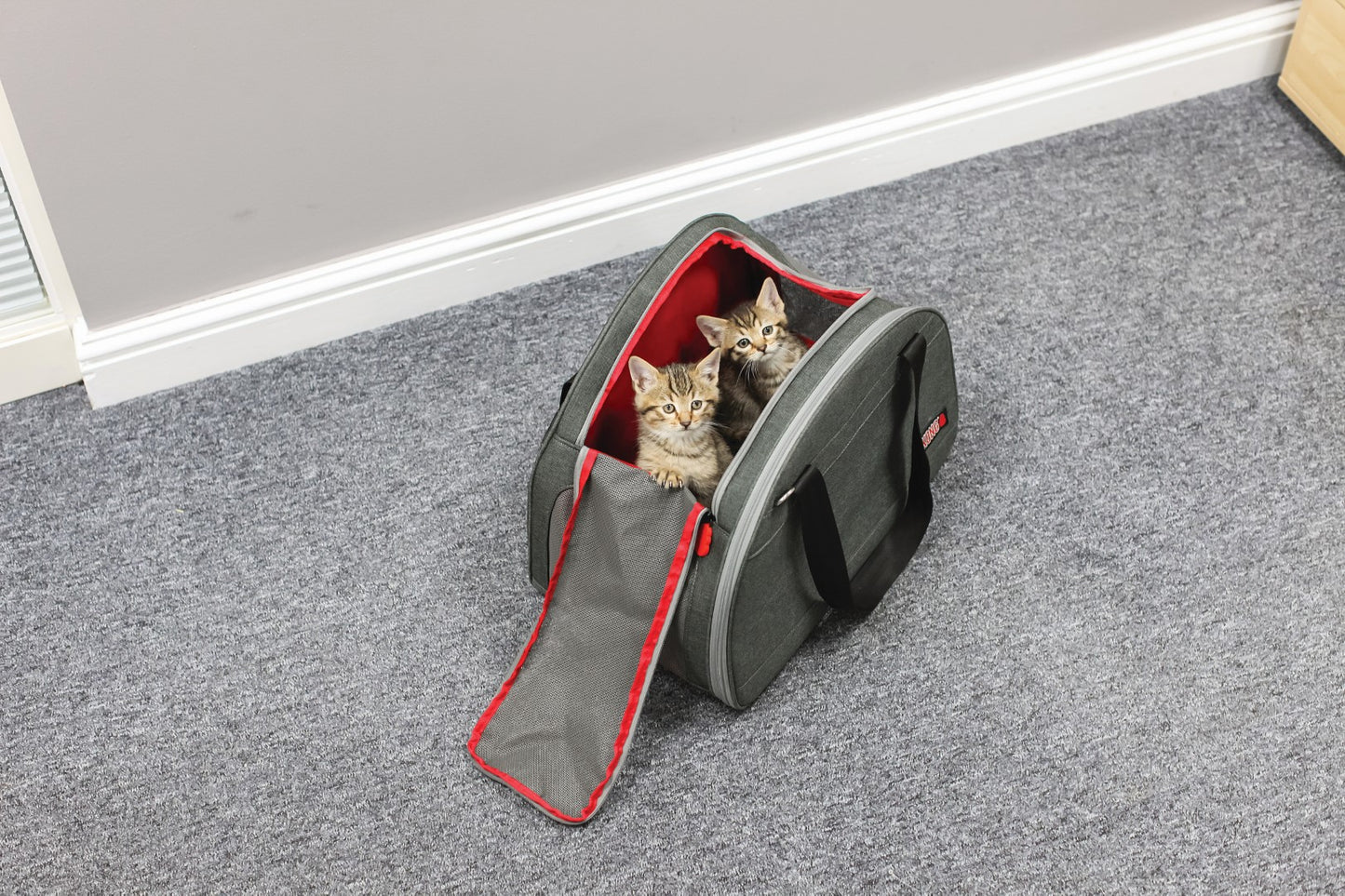 KONG 2-In-1 Pet Carrier and Travel Mat