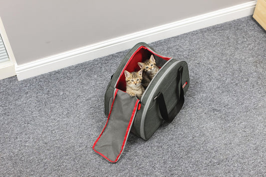 KONG 2-In-1 Pet Carrier and Travel Mat