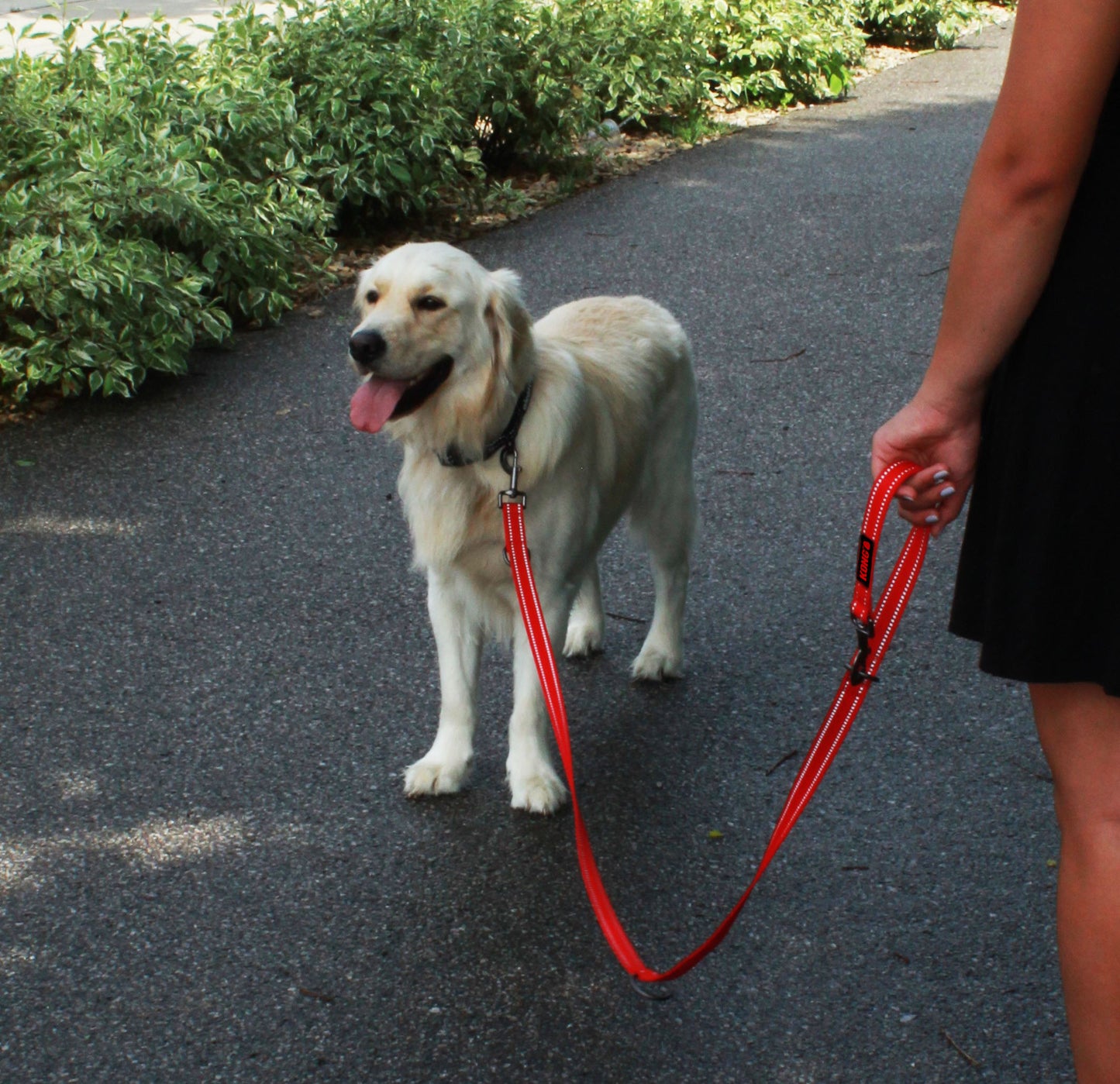 KONG Adjustable Leash Schwarz M