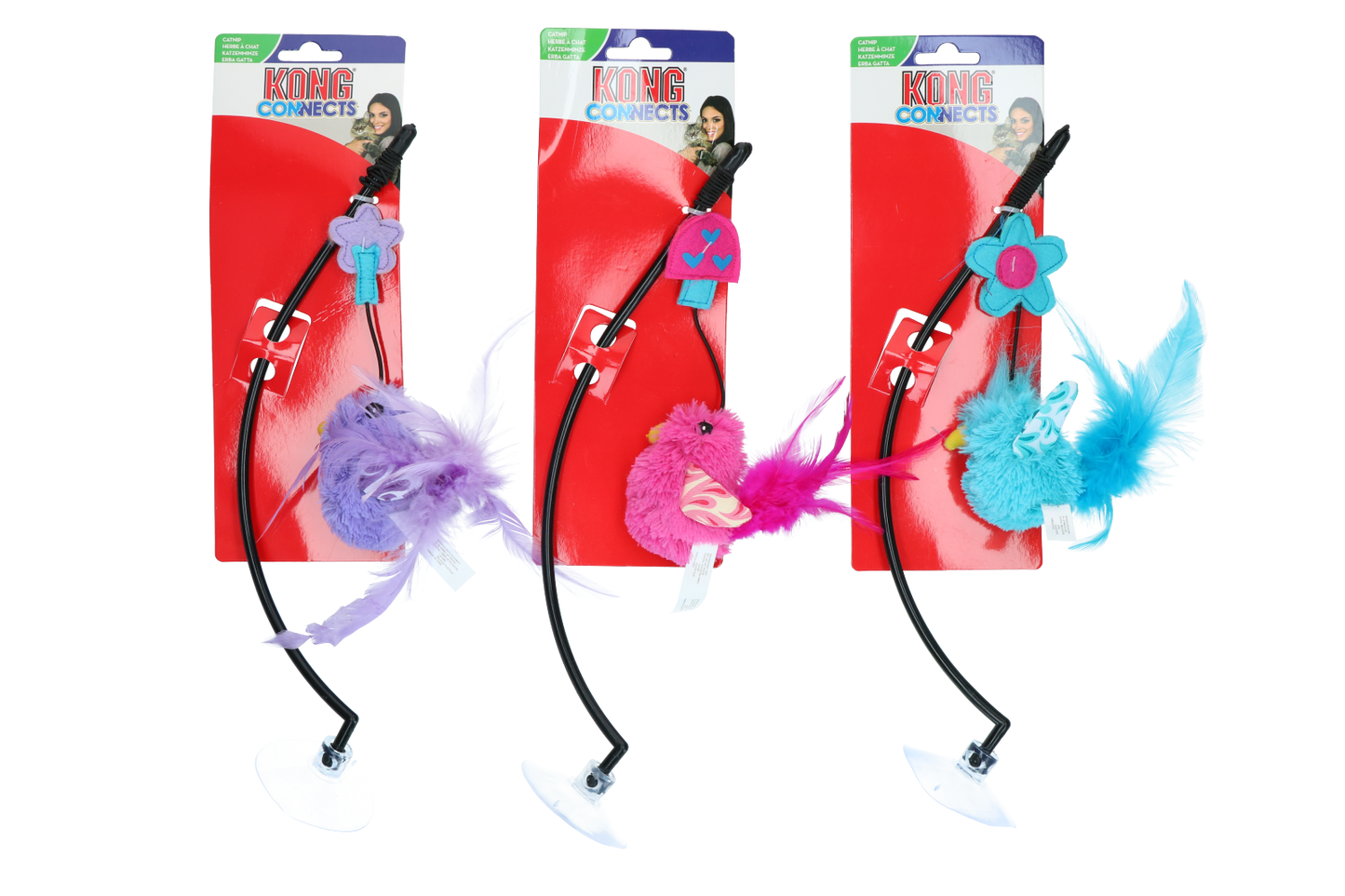 KONG Connects Window Teaser Assorted