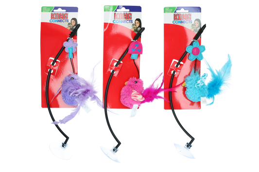 KONG Connects Window Teaser Assorted