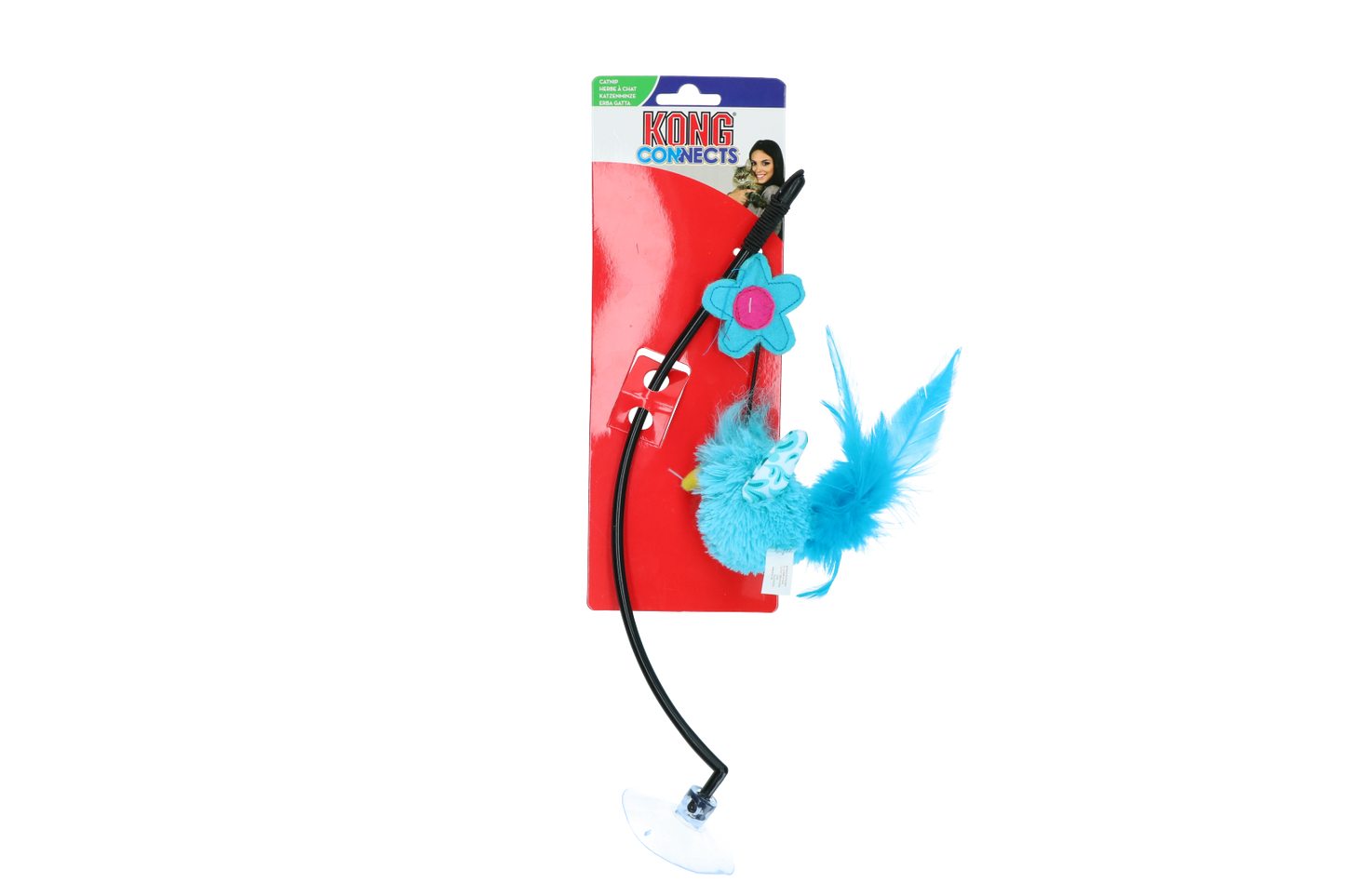 KONG Connects Window Teaser Assorted