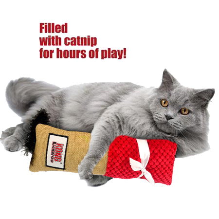 KONG Kickeroo Cuddler Assorted