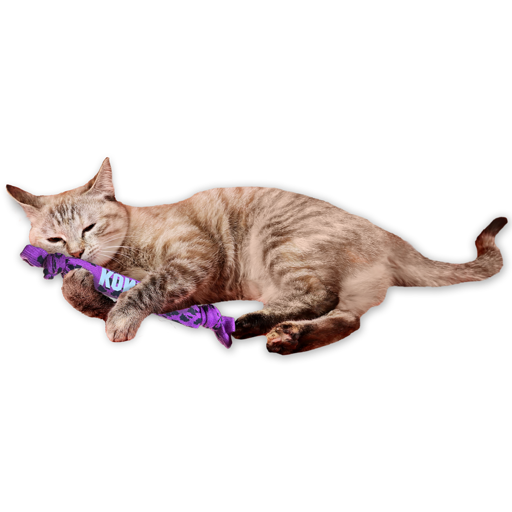 KONG Kickeroo Crunch