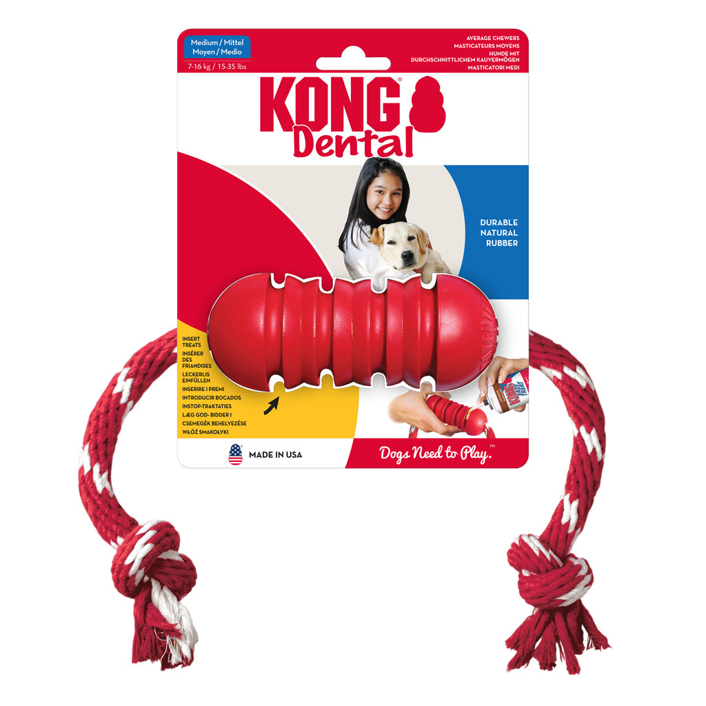 KONG Dental Mit Seil M