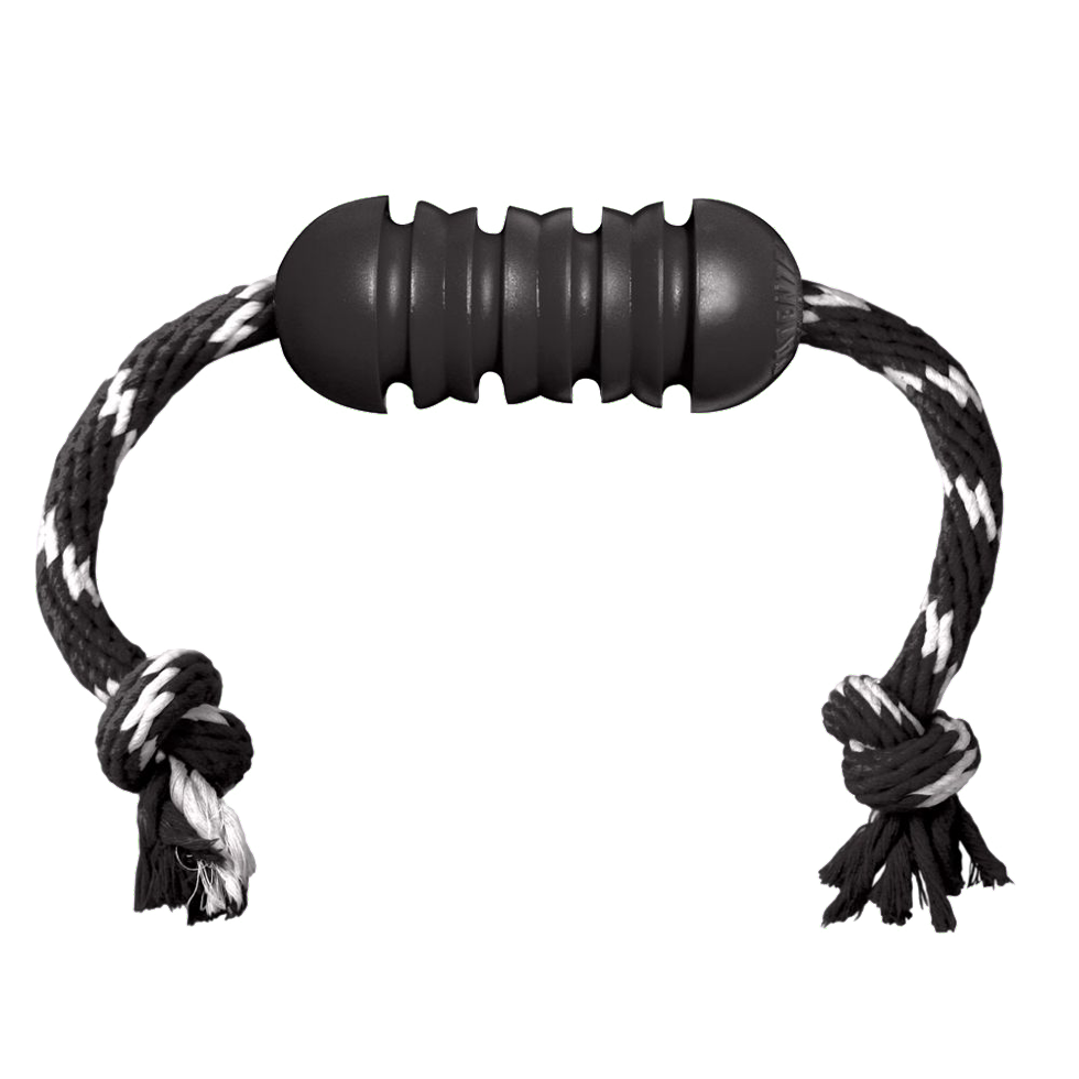 KONG Extreme Dental mit Seil M