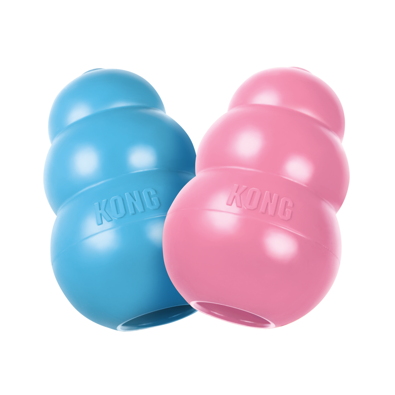 KONG Puppy Assorti M