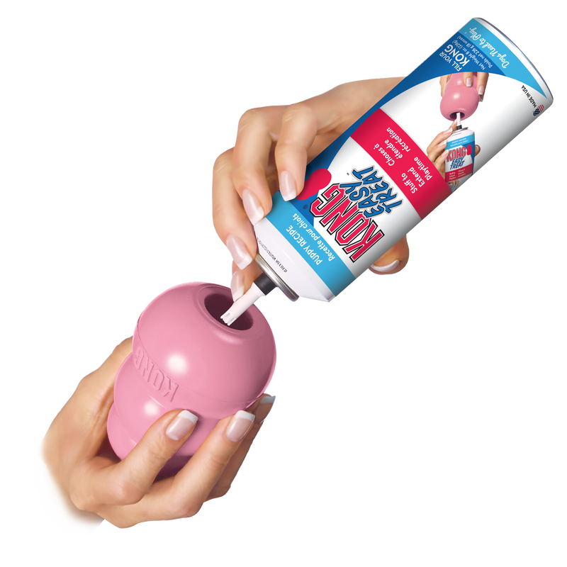 KONG Puppy Assorti L