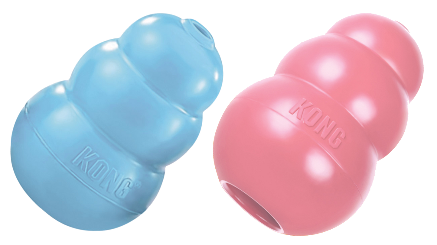 KONG Puppy Assorti XS