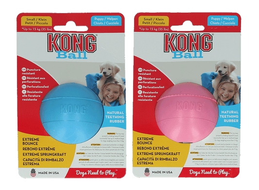 KONG Puppy Ball Assorti S