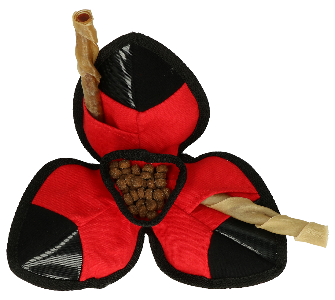 KONG Ballistic Hide 'n Treat Assorti M