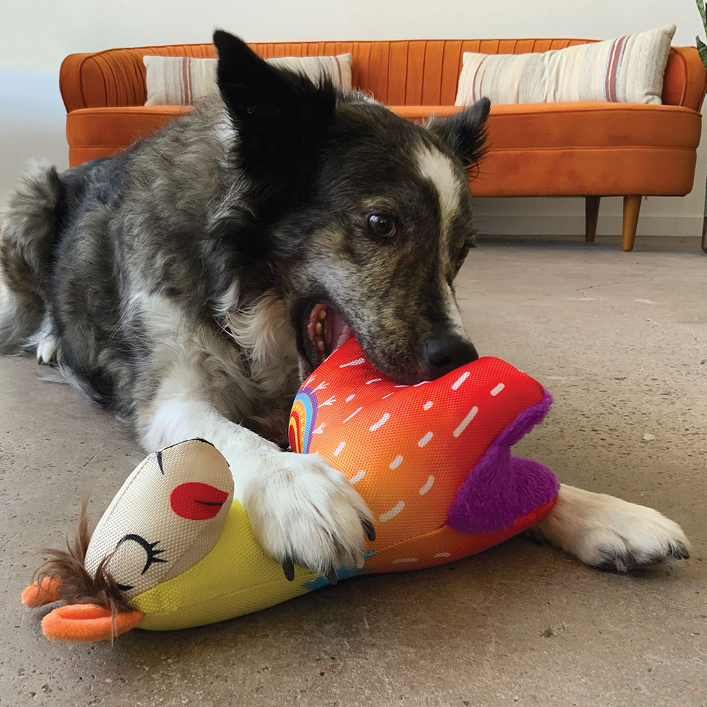 KONG Ballistic Vibez Llamas S/M Assorti