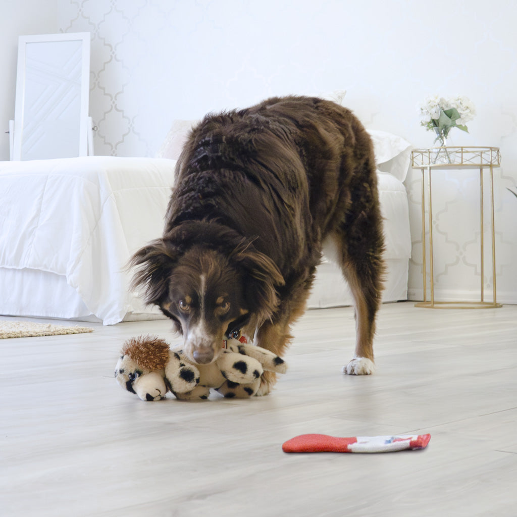 KONG Comfort Pups Spot M