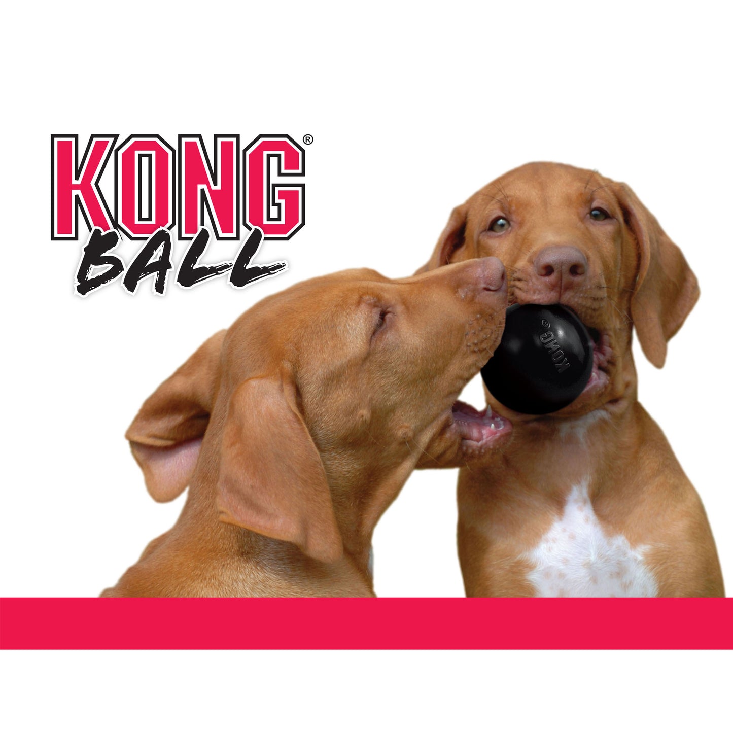 KONG Extreme Ball S