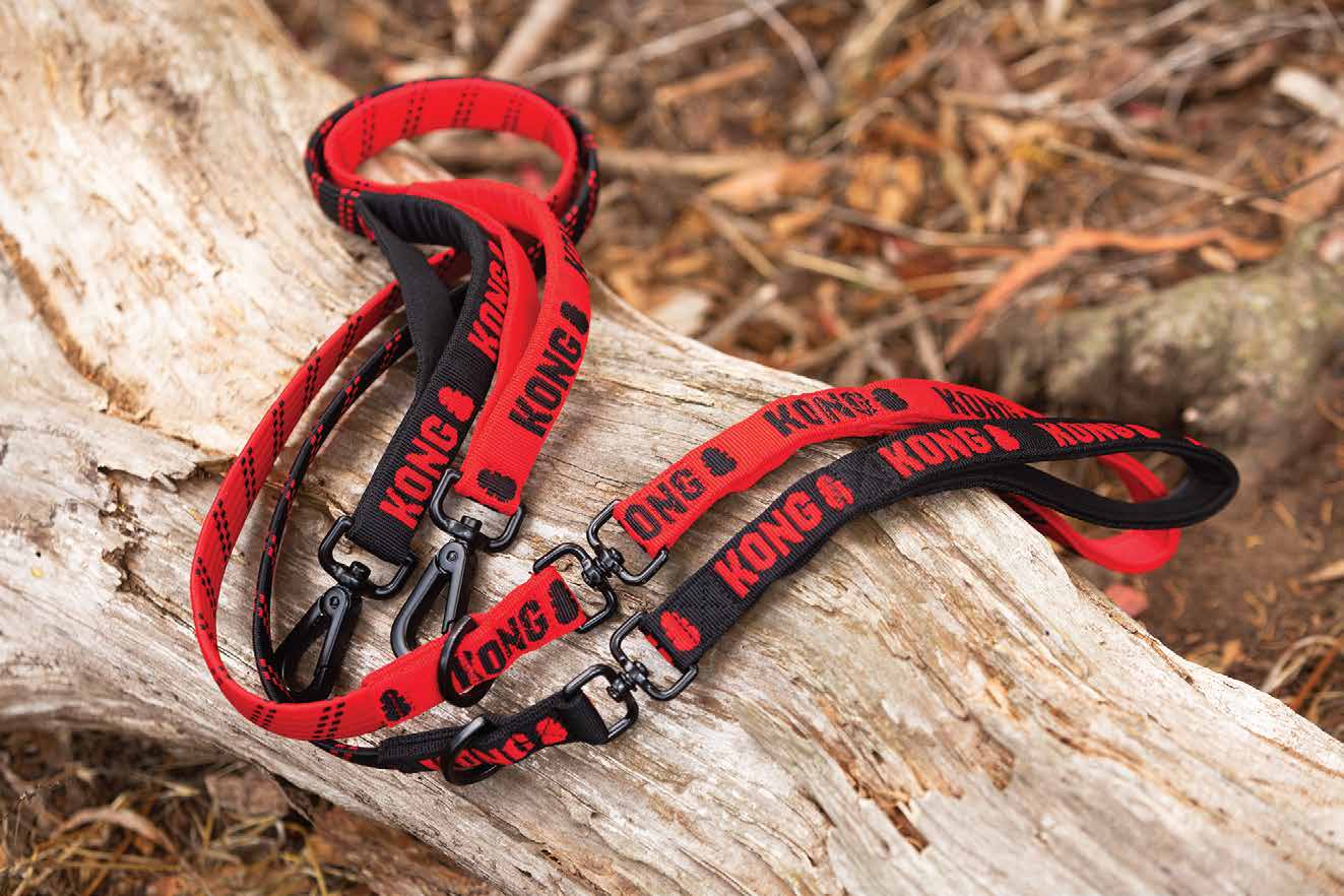 KONG Zero-Shock Leash Schwarz