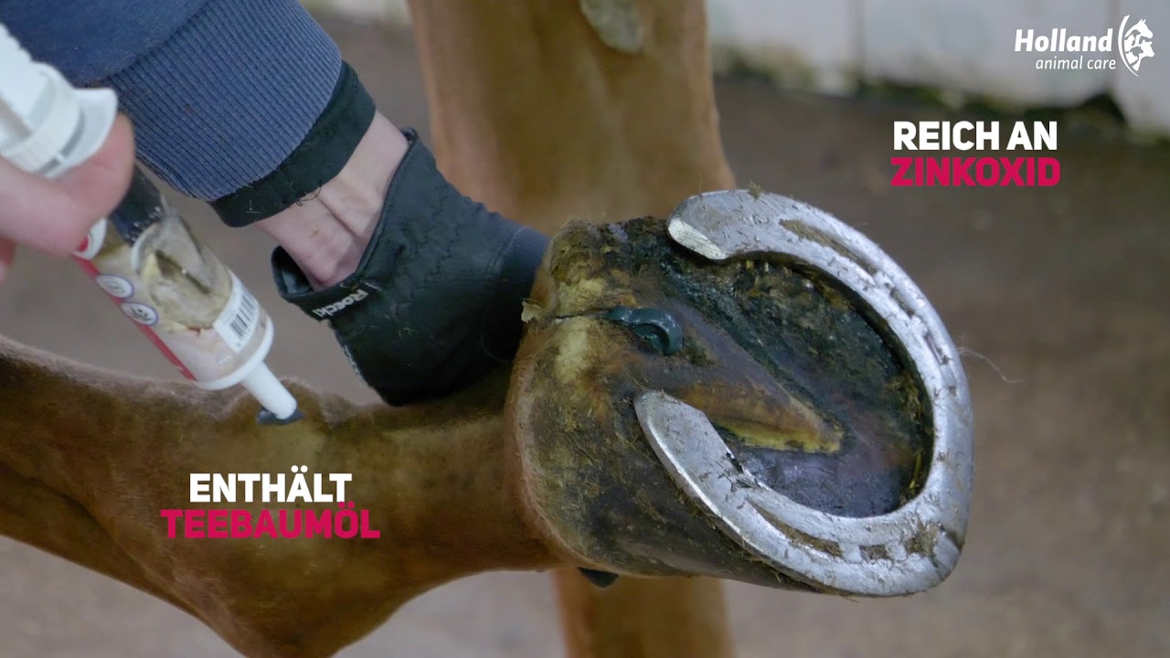 Excellent Horse Hoof Zinc Paste 60 ml