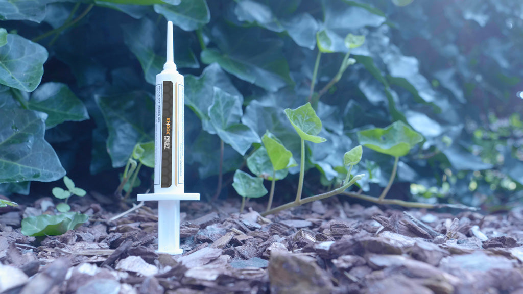 Knock Pest Mieren Gel 5 g