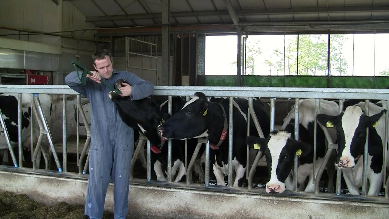 Excellent Uno Dry 20 x 103 g