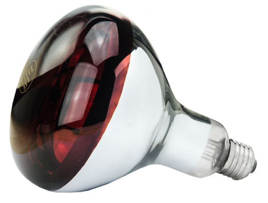 Hartglas Lampe 150 W - Rot