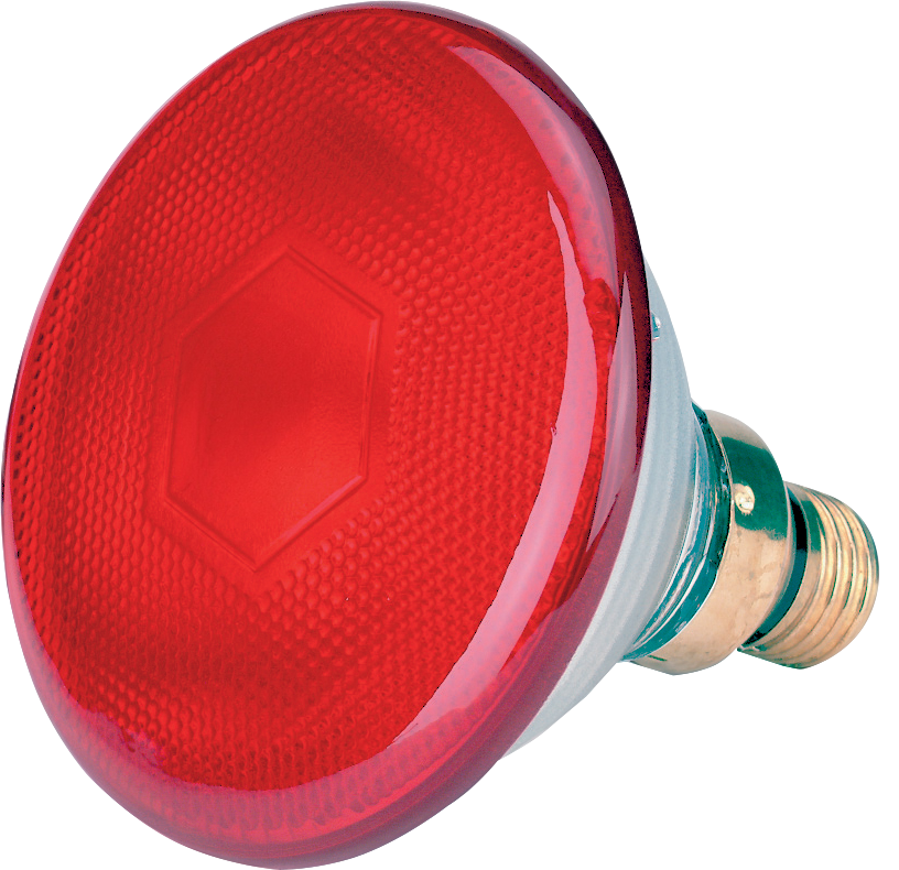 Sparlampe 175 W - Rot