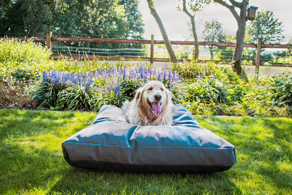Let's Sleep Cushy Cloud Outdoor Hundebett XL Anthrazit